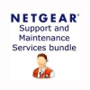 Netgear STM600W3-10000S